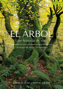 Cover Image: EL ÁRBOL